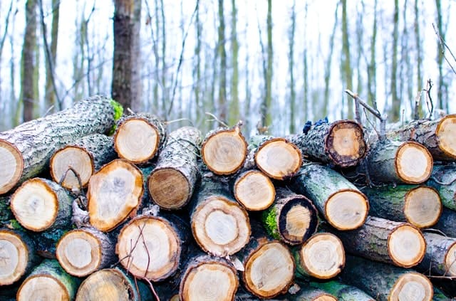 TIMBER