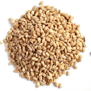 HULLED BARLEY