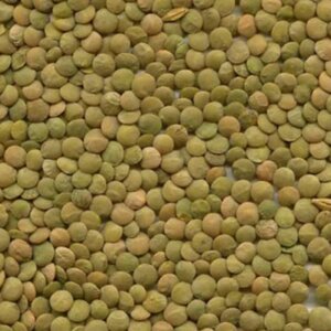 GREEN LENTILS