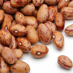 PINTO BEANS