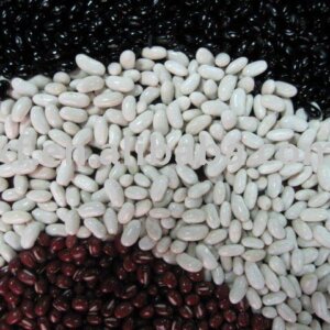 BEANS WHITE-BLACK AND RED KIDNEY