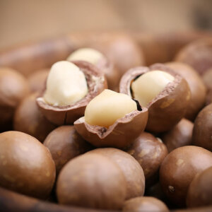 MACADAMIA NUTS