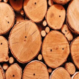 OAK FIREWOOD