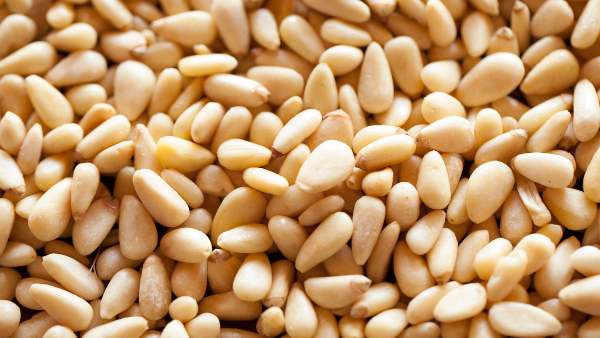 PINE NUTS